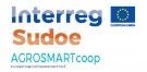 AGROSMARTCoop – Smart Marketing Capsule, Tomelloso (ES)